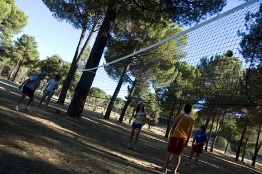 Tarde de Olimpiadas.