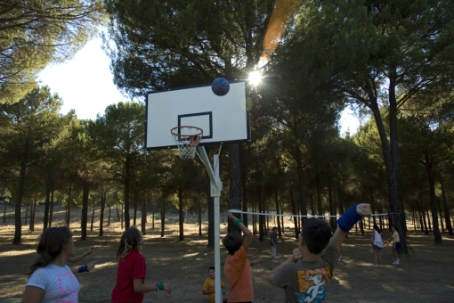 Tarde de Olimpiadas.