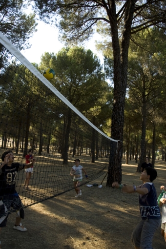 Tarde de Olimpiadas.