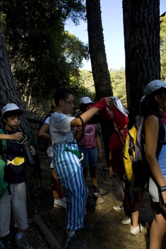 El Rastreo de los Druidas...