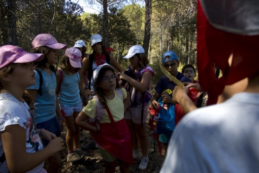 El Rastreo de los Druidas...