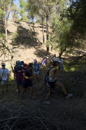 Taller de Aire Libre.